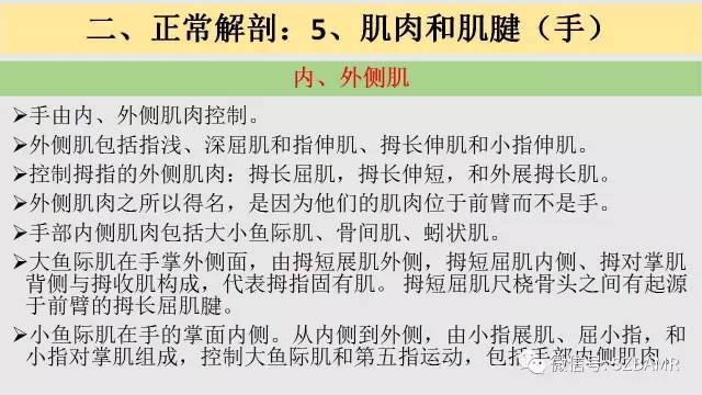 【PPT】腕、手磁共振成像正常解剖与变异