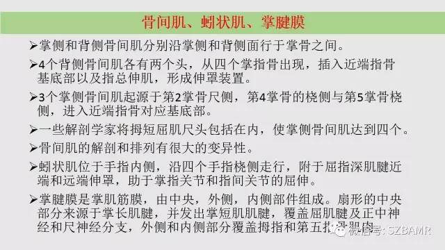 【PPT】腕、手磁共振成像正常解剖与变异