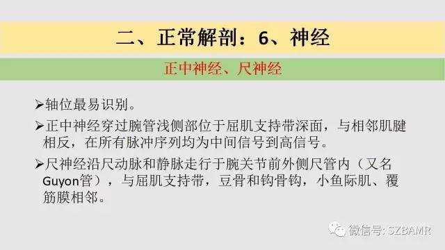 【PPT】腕、手磁共振成像正常解剖与变异