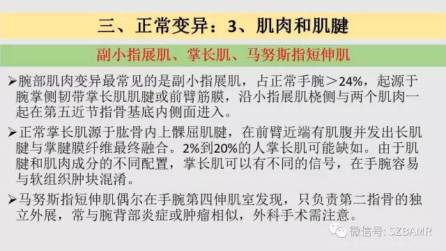 【PPT】腕、手磁共振成像正常解剖与变异