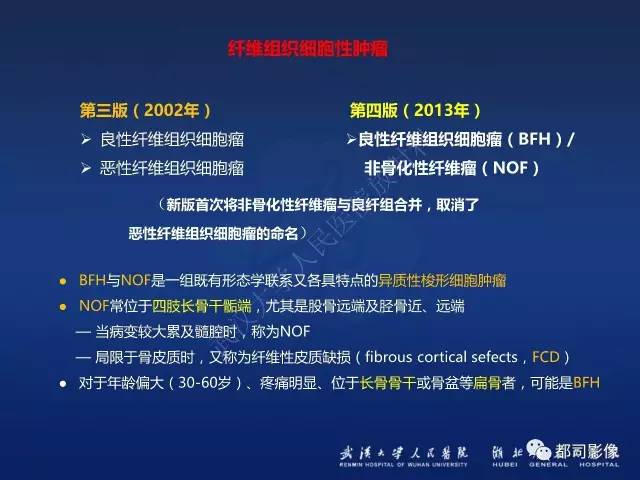 【PPT】骨原发性黄色瘤影像诊断