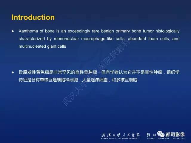 【PPT】骨原发性黄色瘤影像诊断