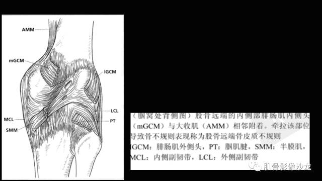 【PPT】年轻人膝关节的几个疾病