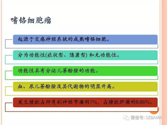 【PPT】膀胱副神经节瘤临床病理与影像