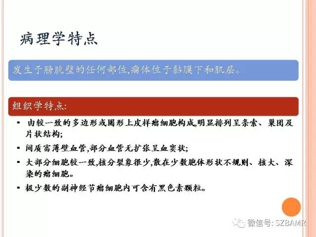 【PPT】膀胱副神经节瘤临床病理与影像