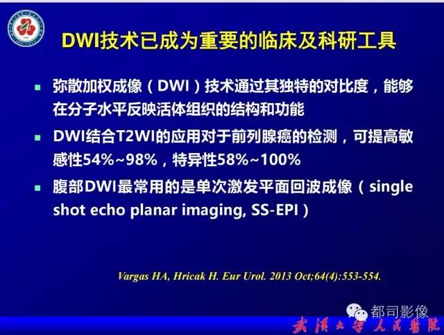 【PPT】小视野扩散加权成像（rFOV-DWI）在前列腺MRI的临床应用