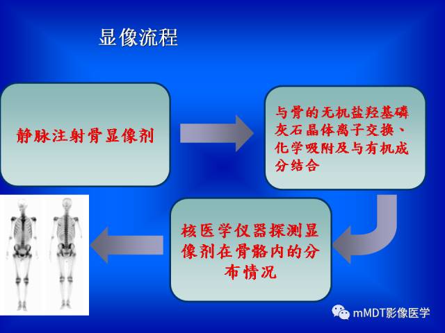 【PPT】骨骼系统核医学