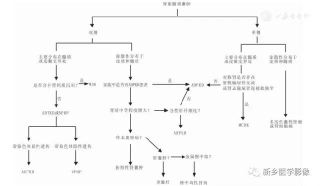 肾脏的13种囊性病变及诊断思路