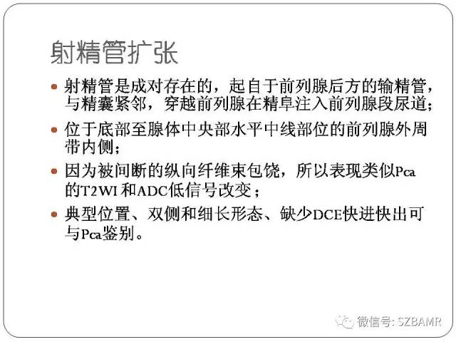 【PPT】前列腺周围带扩散受限的良性病变：诊断与鉴别诊断