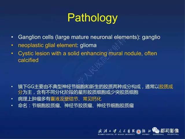 【PPT】节细胞胶质瘤影像诊断