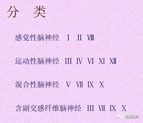 脑神经MRI断层解剖 脑神经MRI断层解剖
