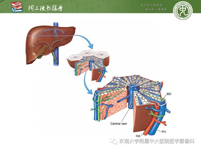 【PPT】肝脏血管性病变影像学表现【RG精选】