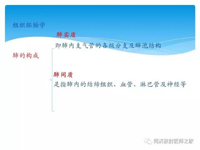 【PPT】肺实质与肺间质的梳理