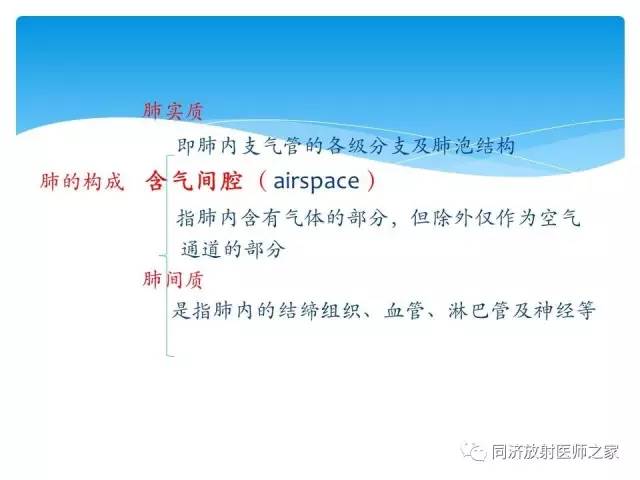 【PPT】肺实质与肺间质的梳理