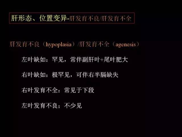 【PPT】肝脏解剖与常见变异