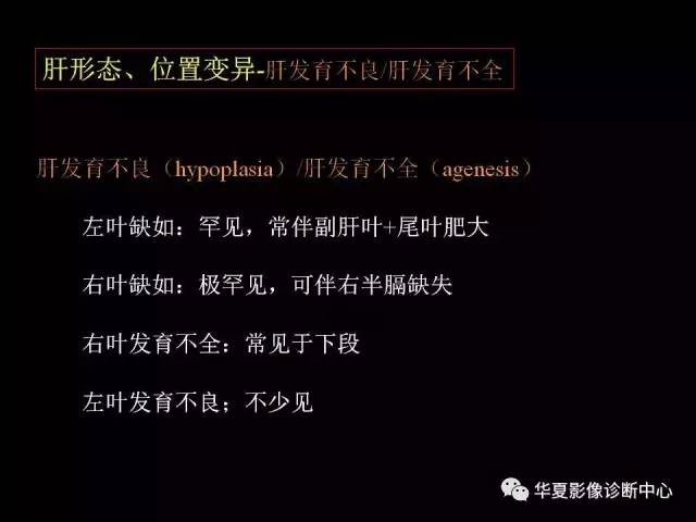 【PPT】肝脏解剖与常见变异