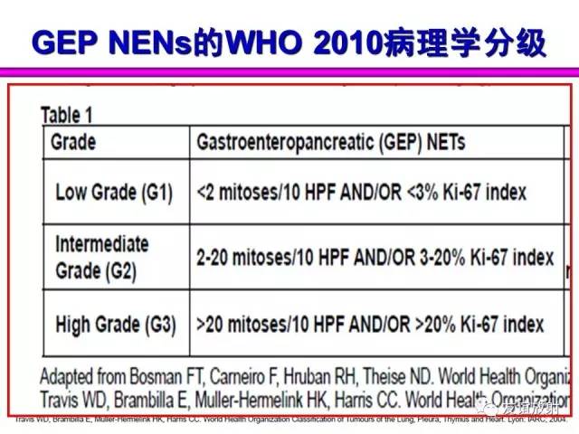 【PPT】胰腺神经内分泌肿瘤(pNet)的CT、MRI检查与诊断