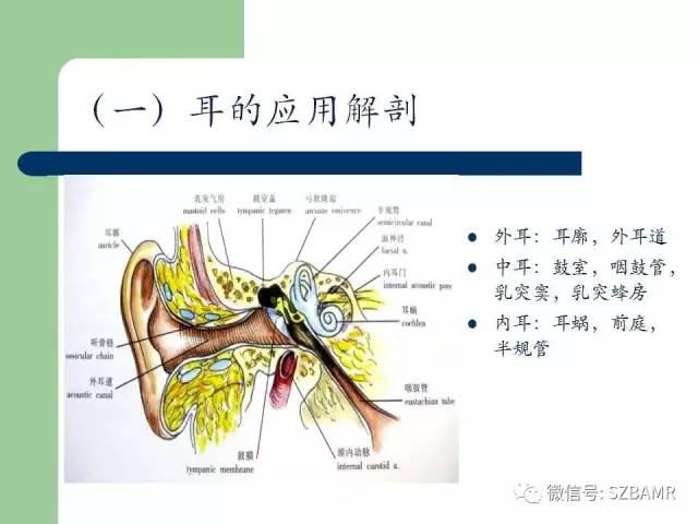【PPT】外中耳解剖及变异畸形CT表现