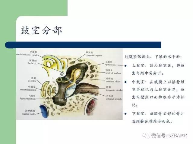 【PPT】外中耳解剖及变异畸形CT表现