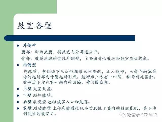 【PPT】外中耳解剖及变异畸形CT表现