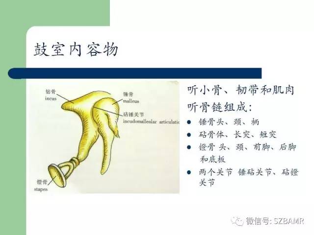 【PPT】外中耳解剖及变异畸形CT表现