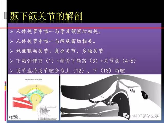 【PPT】颞下颌关节的磁共振成像(检查技术与解剖部分)