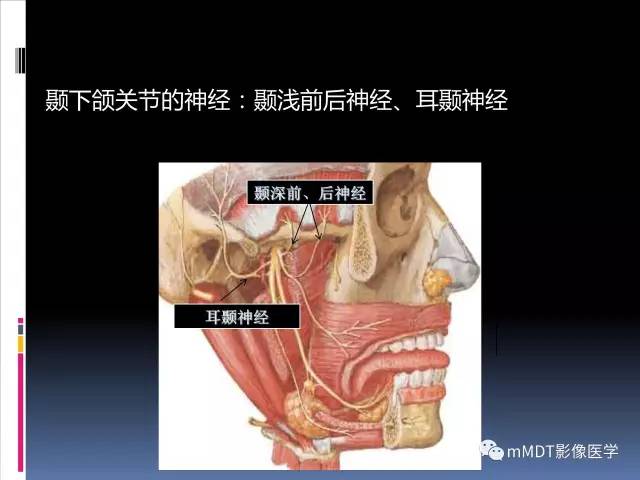 【PPT】颞下颌关节的磁共振成像(检查技术与解剖部分)