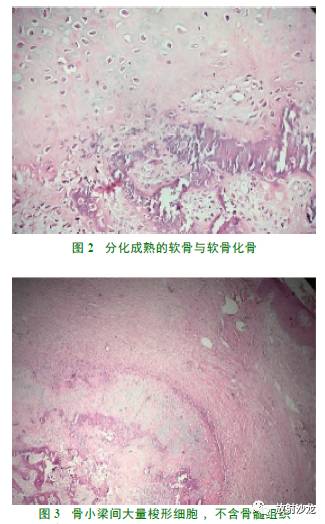 自动草稿 自动草稿