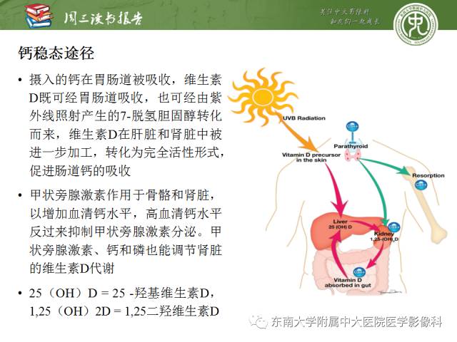【PPT】代谢性骨病影像学表现【RG精选】