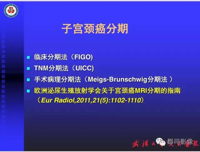 【PPT】妇科肿瘤临床MRI