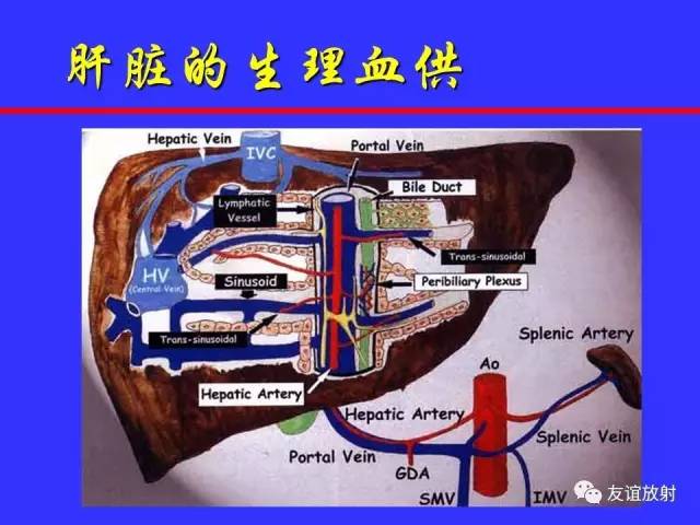 肝实质异常灌注CT、MRI评价