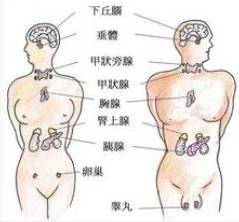 【病例】多发性内分泌肿瘤综合征1例 【病例】多发性内分泌肿瘤综合征1例
