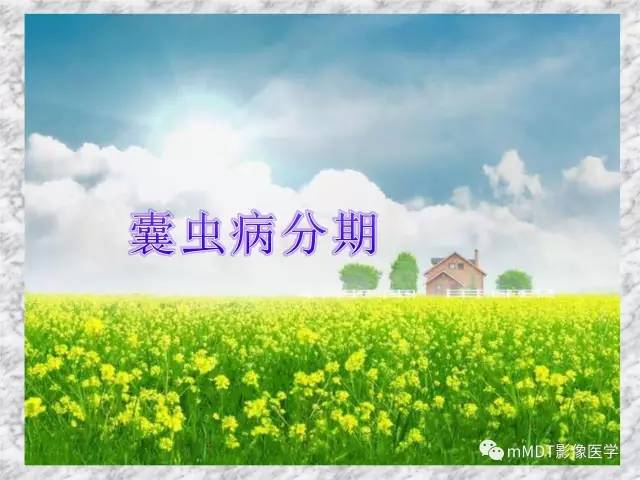 颅内感染性疾病——寄生虫病