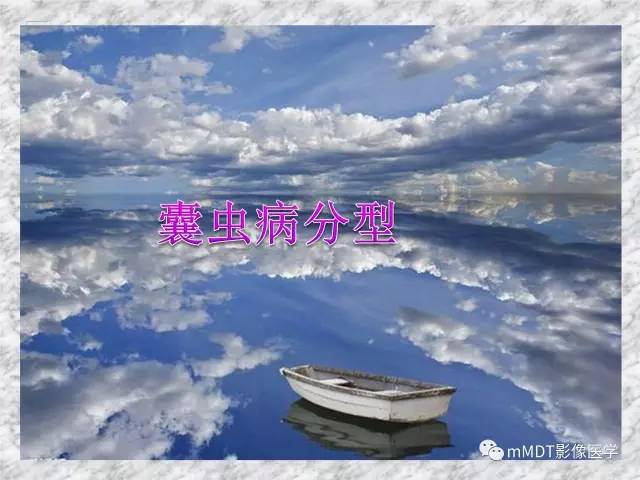 颅内感染性疾病——寄生虫病