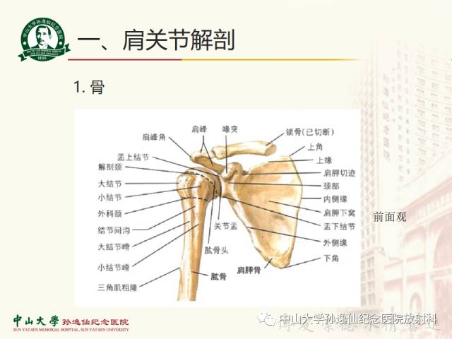 【PPT】肩关节解剖及常见病的MRI诊断