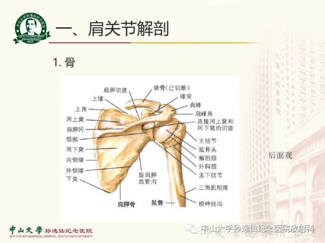【PPT】肩关节解剖及常见病的MRI诊断