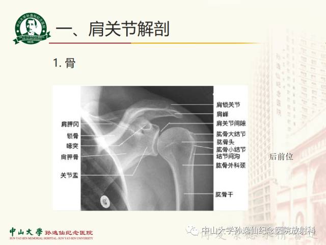 【PPT】肩关节解剖及常见病的MRI诊断