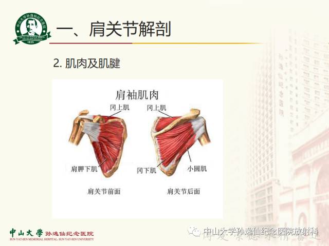 【PPT】肩关节解剖及常见病的MRI诊断