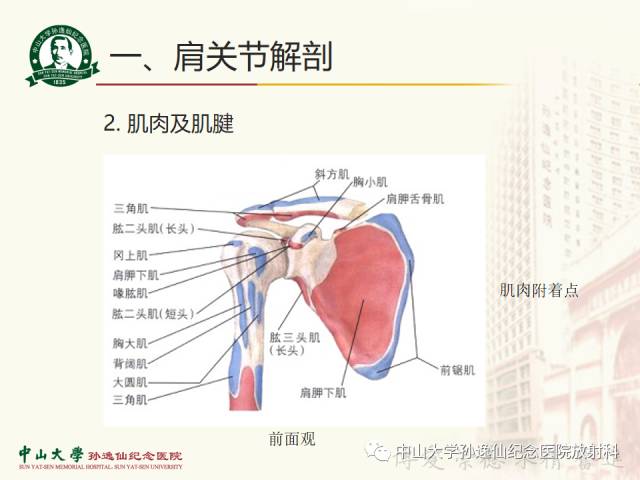 【PPT】肩关节解剖及常见病的MRI诊断