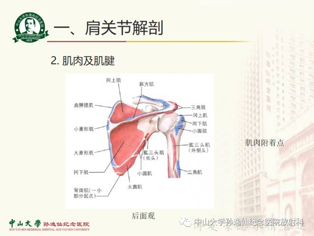 【PPT】肩关节解剖及常见病的MRI诊断