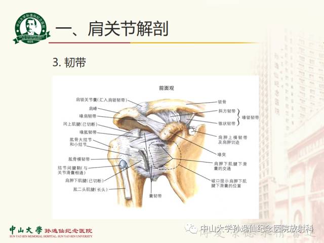 【PPT】肩关节解剖及常见病的MRI诊断