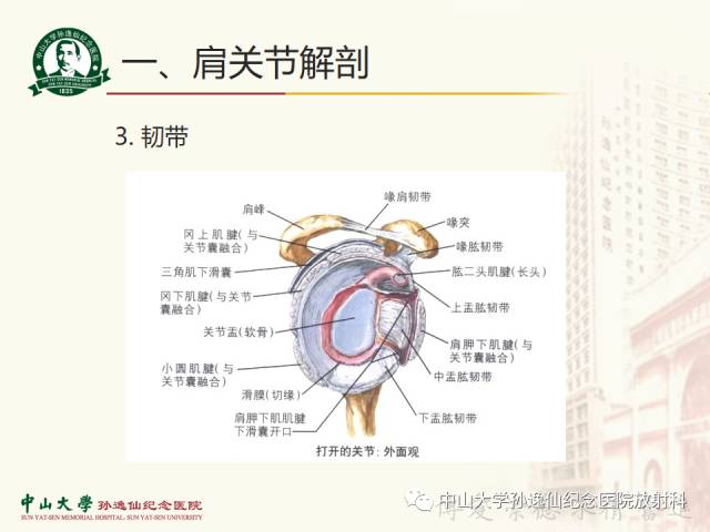【PPT】肩关节解剖及常见病的MRI诊断
