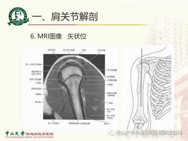 【PPT】肩关节解剖及常见病的MRI诊断