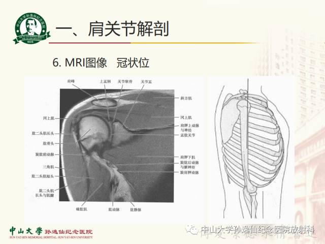 【PPT】肩关节解剖及常见病的MRI诊断