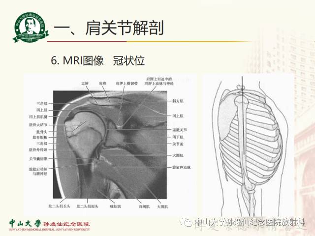 【PPT】肩关节解剖及常见病的MRI诊断