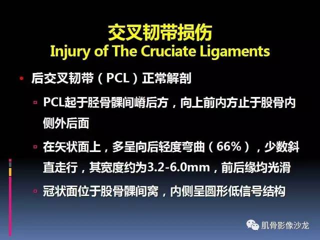 【PPT】膝关节病变影像学诊断