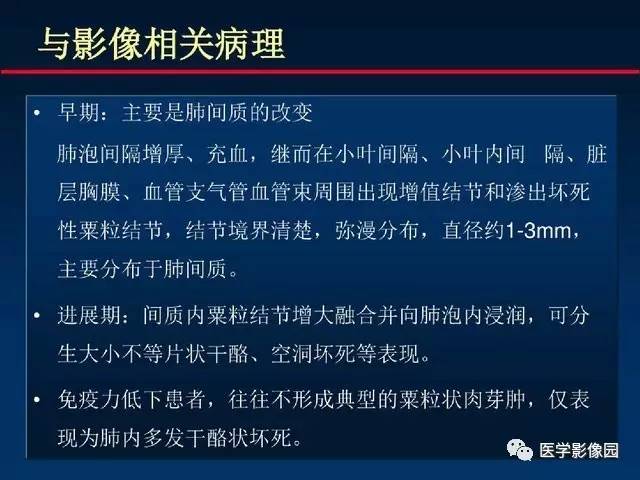 【PPT】血行播散性肺结核的影像诊断与鉴别
