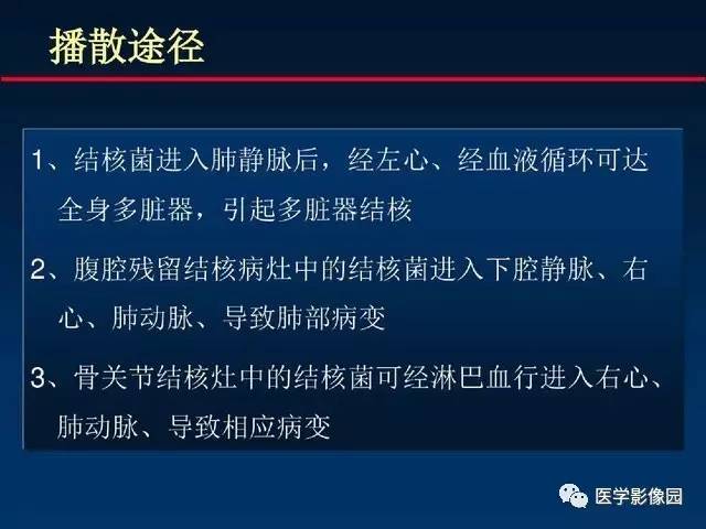 【PPT】血行播散性肺结核的影像诊断与鉴别