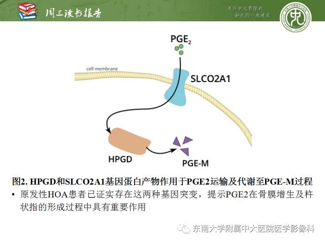 【PPT】肥大性骨关节病临床及影像特征【RG精选】