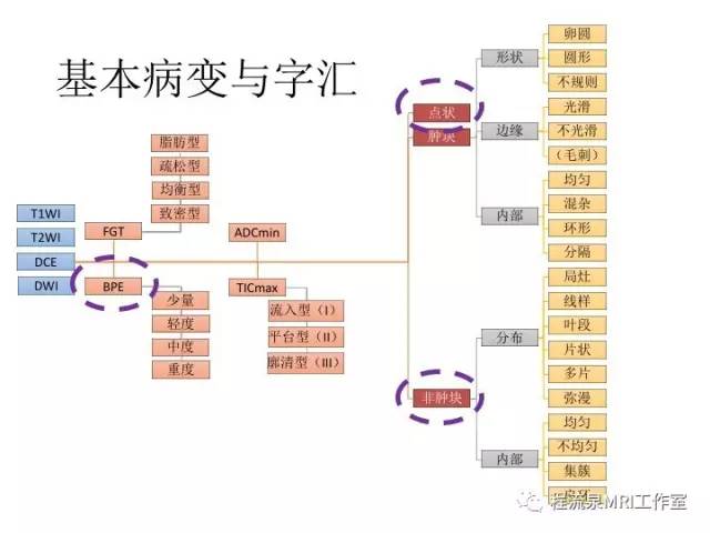 【PPT】乳腺非肿块样强化的鉴别诊断